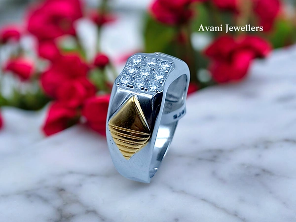 Avani Jewellers Silver Gents Fancy Rings - 6.19, 20