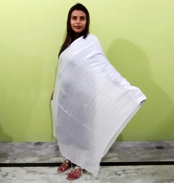 IGNOTO Women's Cotton Dupatta || Multicolor Gold Silver Zari Line Pattern (Pattern/Design: Assorted) - White