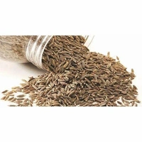 Organic Jeera (Cumin) - 200 Gms