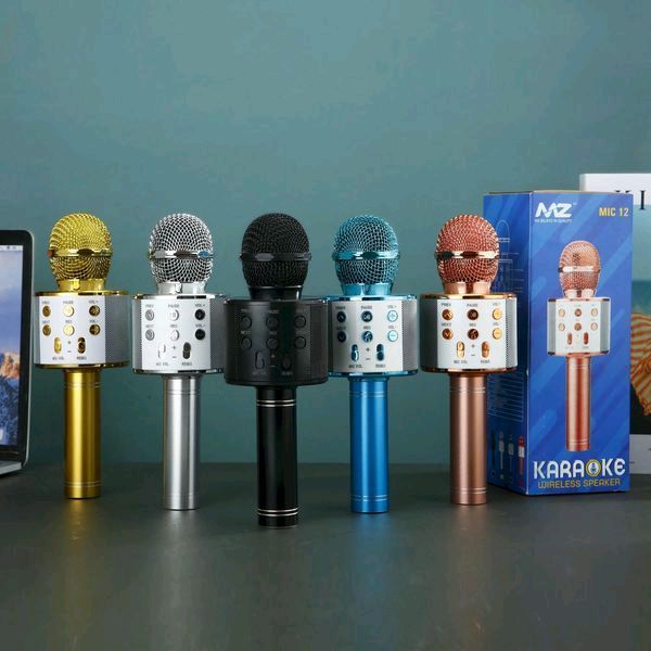 MZ Mic 12 Korake Mic With Speaker 🔊