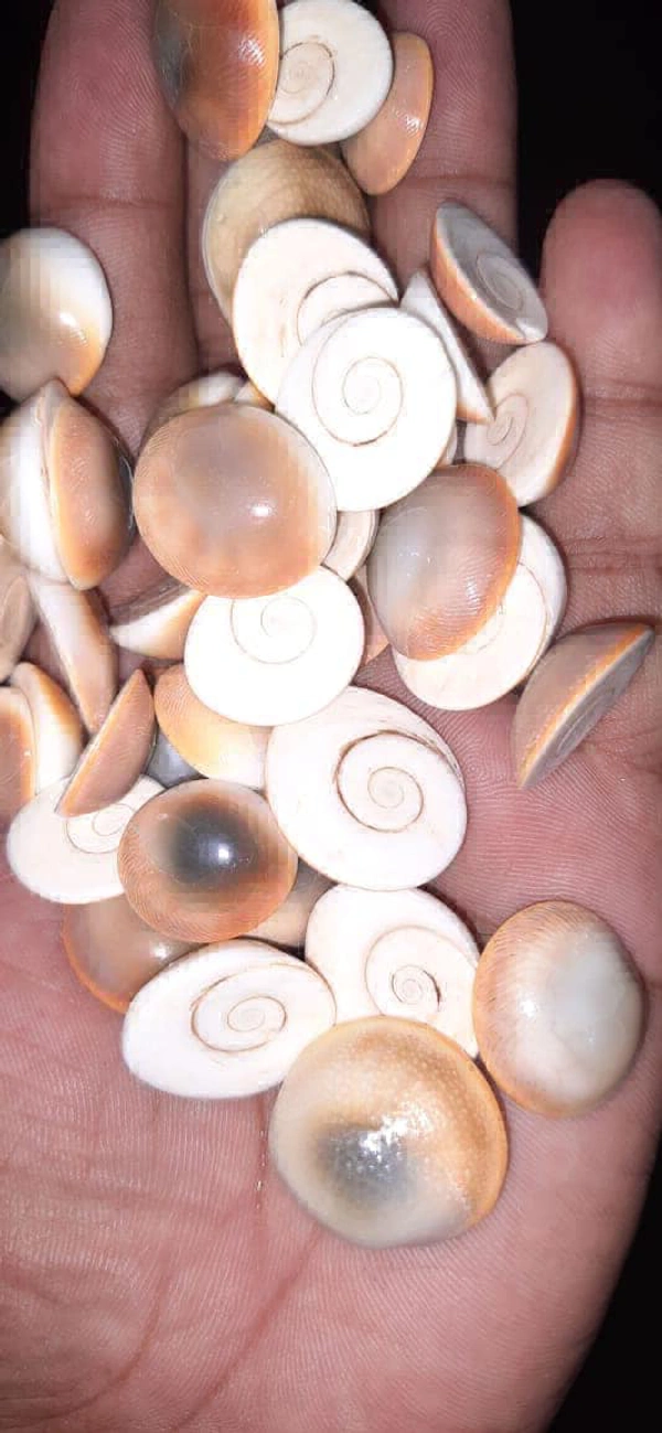 Astro Planet Gomati Chakras