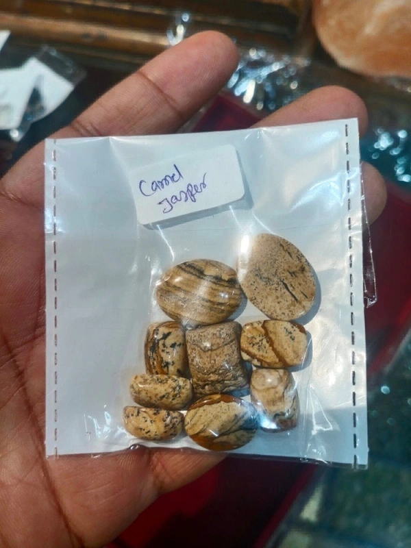 Astro Planet Camel Jasper - Festival, Mix