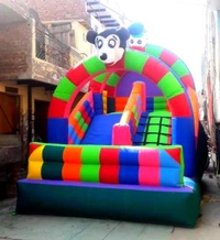 Jumping Bouncy Castle 