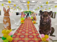Jungle Safari Theme 