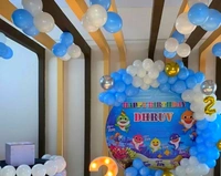 Baby Shark Theme  Kids Birthday Decor 157