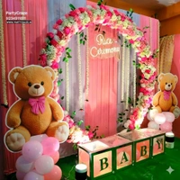 Annaprashan Ceremony Decor 2