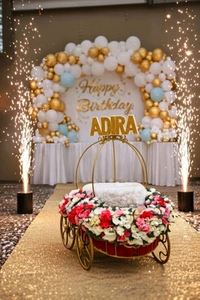 Baby Cart For Special Entry