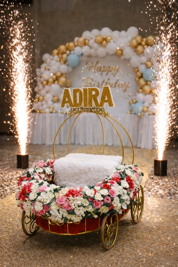 Baby Cart For Special Entry