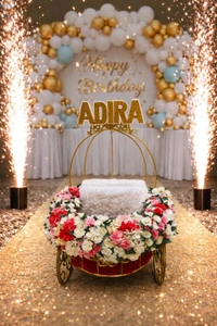 Baby Cart For Special Entry