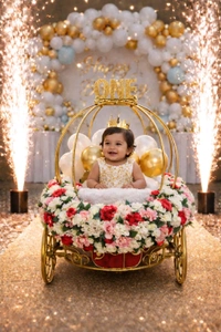 Baby Cart For Special Entry