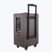 ZEBRONICS Banjo (Zeb Monster Pro 2X12L2) - Black