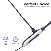 KRISONS Krisons Zytel-Doodle Neckband with 30 Hrs runtime Deep Bass Speaker Headset (Silver, in-Ear) Bluetooth Headset (Black Silver, True Wireless)