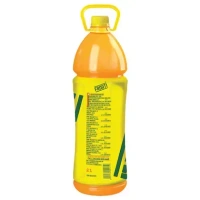 Frooti Mango Drink 2 L