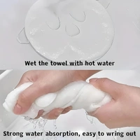 Premium Facial Steamer Towel Mask | Reusable Hot & Cold Compress Spa Towel