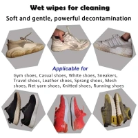 SHOE CLEANING WET WIPES (80 PCS)