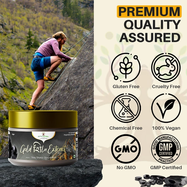 Aachman Sk Vedaa Gold Shila Extract Powder - 2