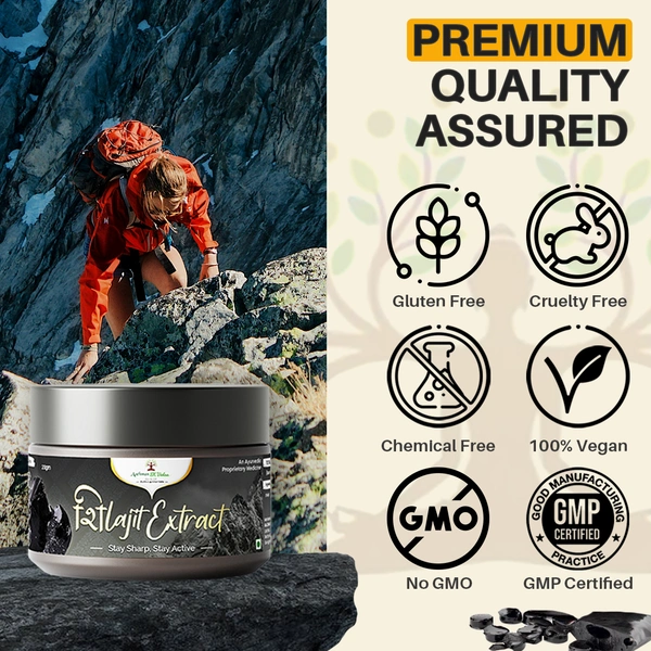 Aachman Sk Vedaa Shilajit Extract Powder - 4
