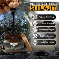 Shudh Shilajit Resin - 1