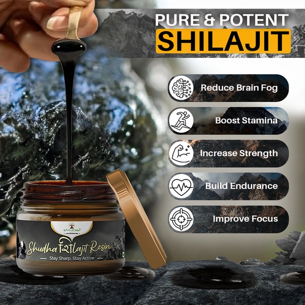 Shudh Shilajit Resin - 1