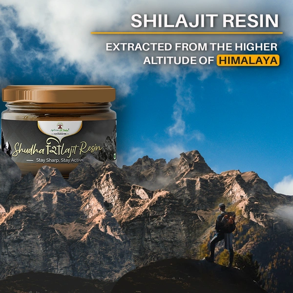 Shudh Shilajit Resin - 1
