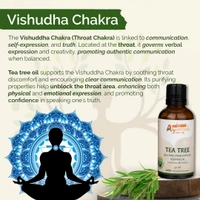 Aashman Ayurveda Tea Tree Pure Steam Distilled Essential Oil - 2