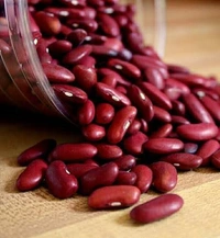 Rajma (Big)