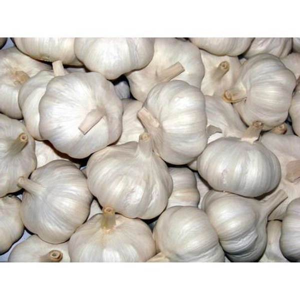 Garlic (Lahsun, Nohoru)  - 1kg