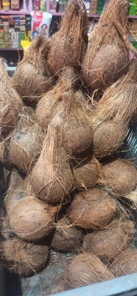 Mature Coconut / Nariyal / Narikol