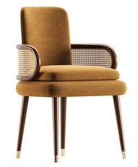 BLAKEY CHAIR– Contemporary Charm with Comfortable Design