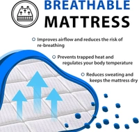 ISHA SOFA CENTRE MATTRESS - 78*72