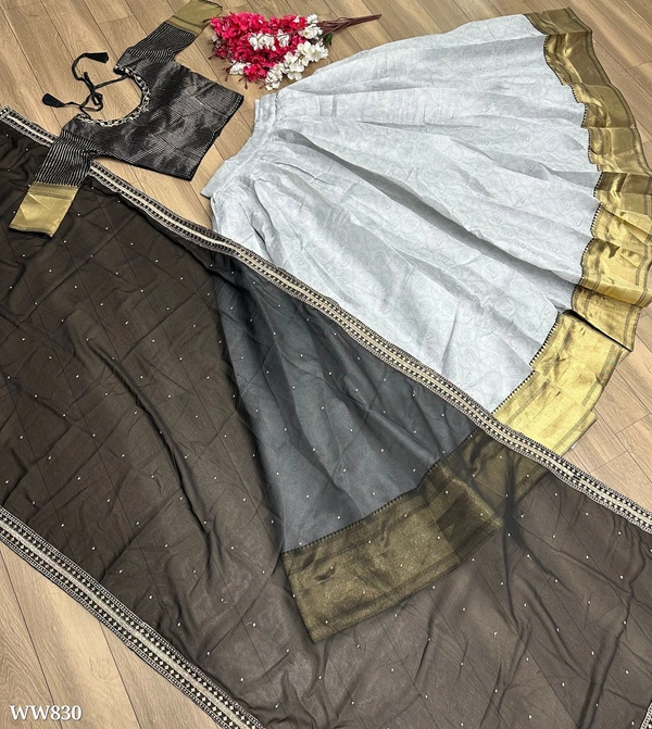 Beautiful Lehenga Choli - M