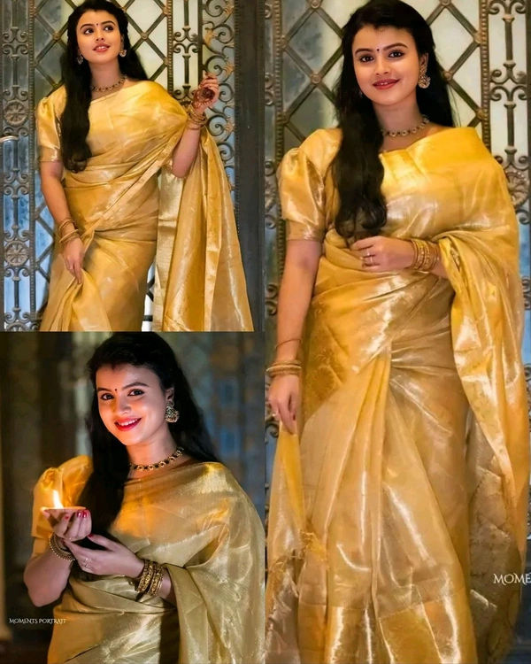 BANARASI SOFT PATTA NITA PATTU TISSUE SAREE - Golden, Free Size