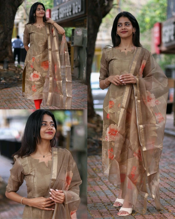 Trendy Top and dupatta set - L