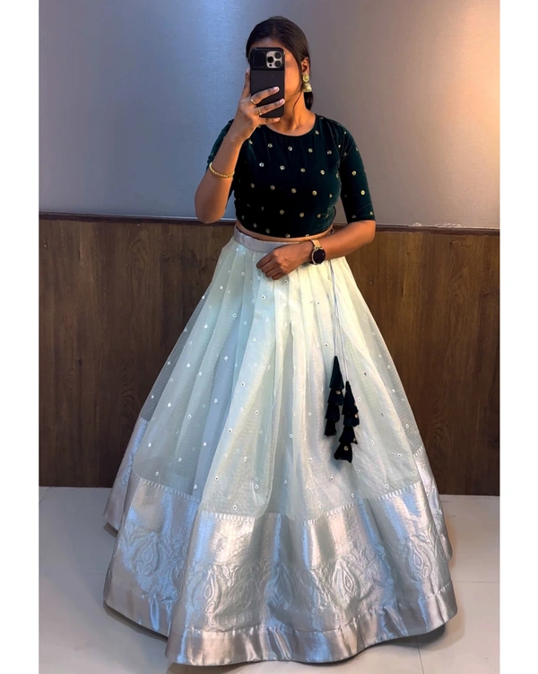 Beautiful Crop top + Skirt Lehenga - pista, S