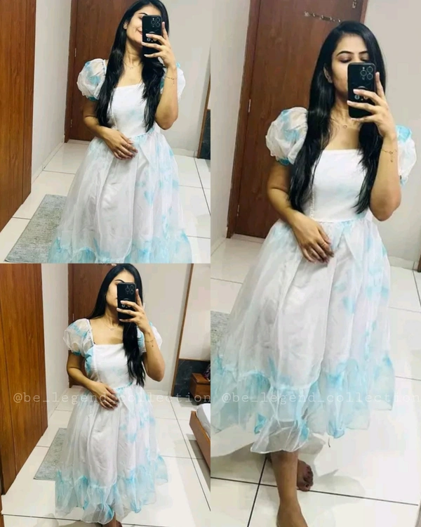 Woman Party Wear Organza One Piece  - XL