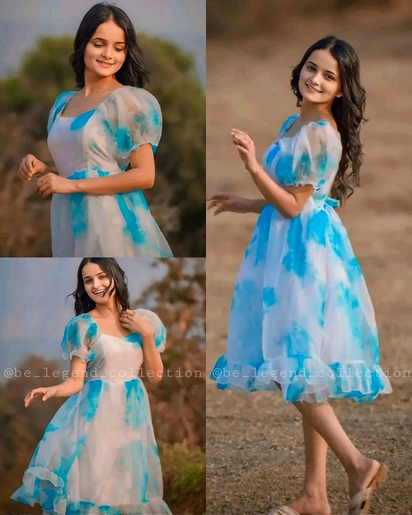 Woman Party Wear fancy Organza - Sky Blue, L