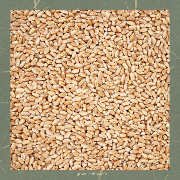 Lokwan Wheat Flour 5kg - 5 kg, Fine