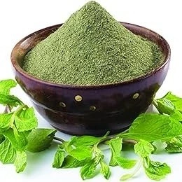 mint Leaf powder