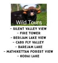 KODAIKANAL - TOUR PACKAGE - Open