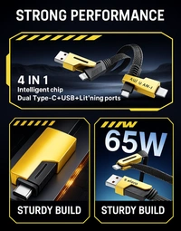 Body Smith 4 In 1 Covertable Data Cable - One Size, Gold Tips