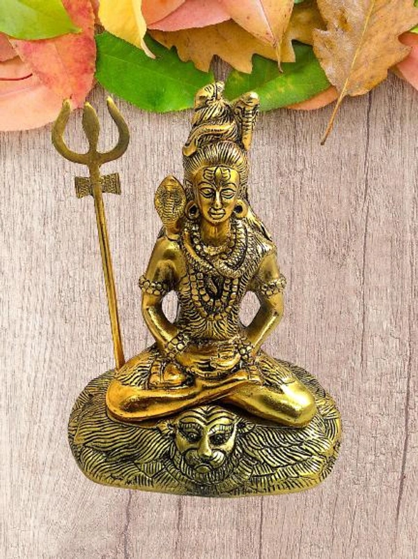 PJH Shiva - White Metal (Aluminium), Box, Golden