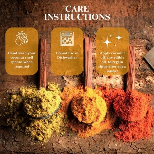 PJH Masala Spoon Set - Coconut Shell Masala Spoon Set of 6 for Small Containers - Coconut Shell