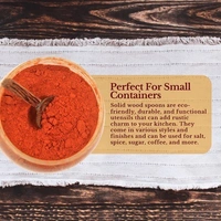 PJH Masala Spoon Set - Coconut Shell Masala Spoon Set of 6 for Small Containers - Coconut Shell