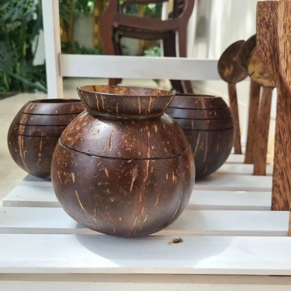 PJH Planter 01 - Pot Shaped Coconut Planter | Indoor Plants, Succulents (1 Pot) - Coconut Shell