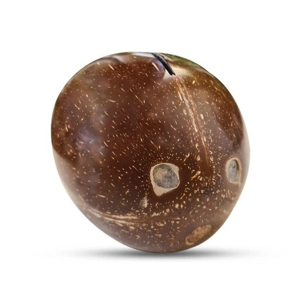 PJH Piggy Bank - Coconut Shell