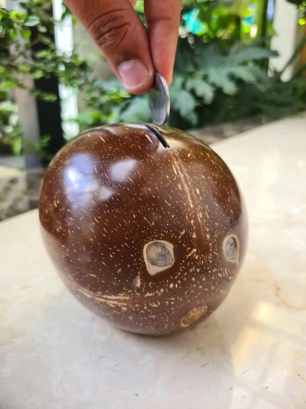 PJH Piggy Bank - Coconut Shell