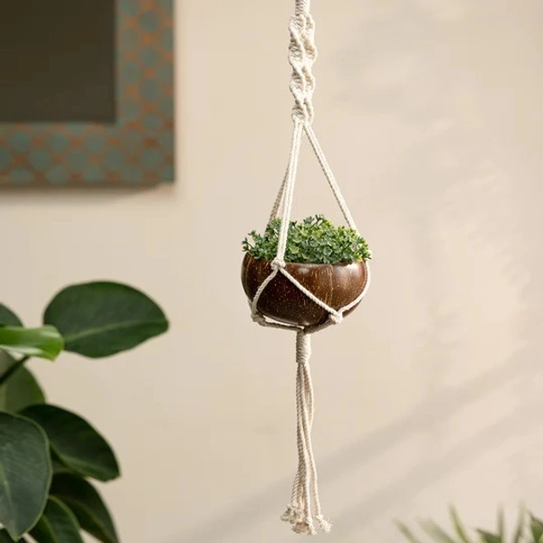 PJH Plant Hanger - Coconut shell macrame plant hanger for Indoor & balcony - Coconut Shell