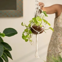 PJH Plant Hanger - Coconut shell macrame plant hanger for Indoor & balcony - Coconut Shell