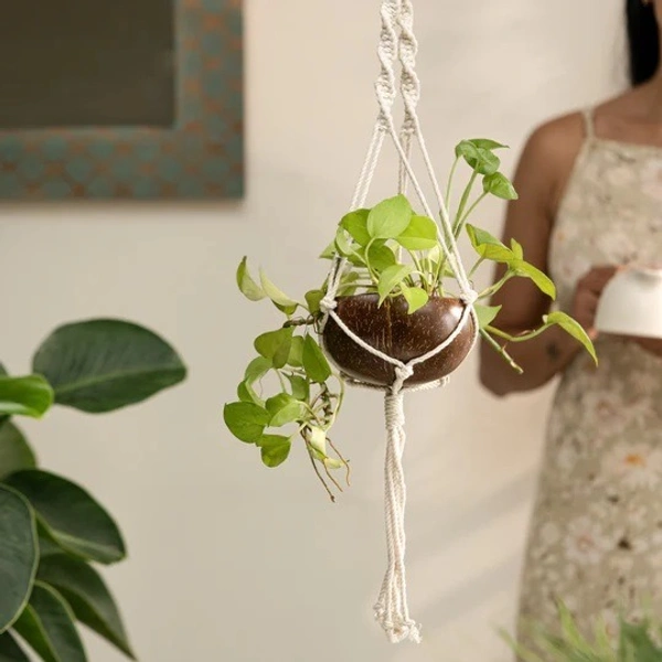 PJH Plant Hanger - Coconut shell macrame plant hanger for Indoor & balcony - Coconut Shell