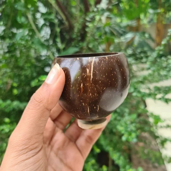 PJH Short/Wine Glass - Coconut Shell Eco-friendly Shot/Wine Glass - Set of 2 - Coconut Shell